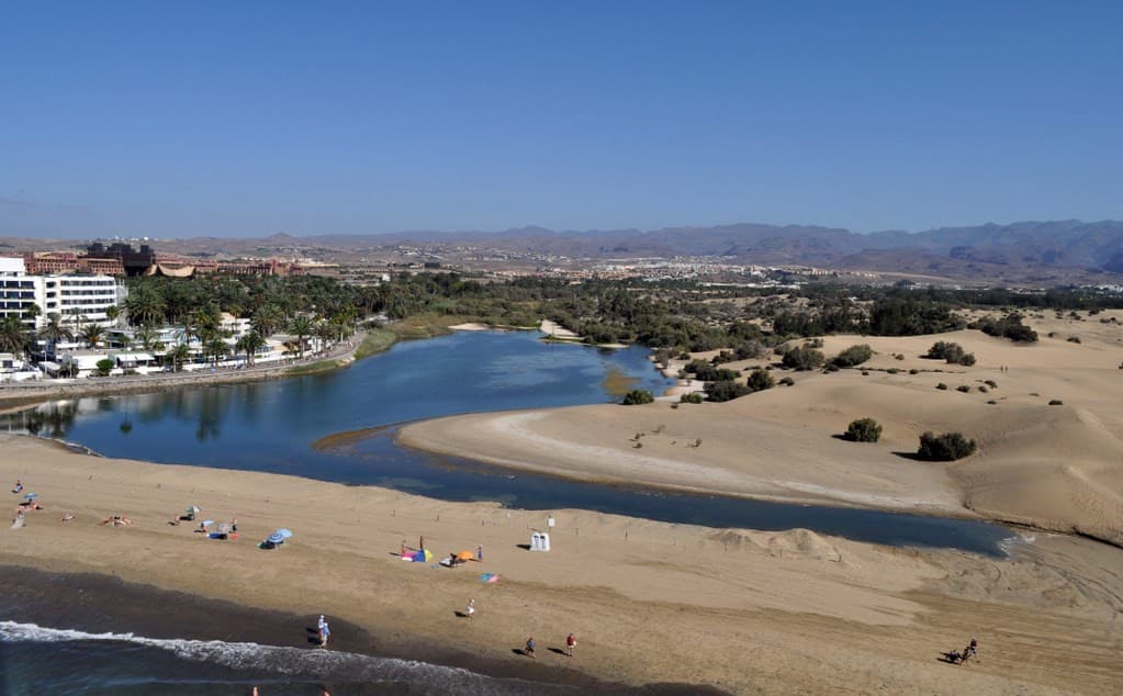 La Charca de Maspalomas lagoon and palm grove, Gran Canaria