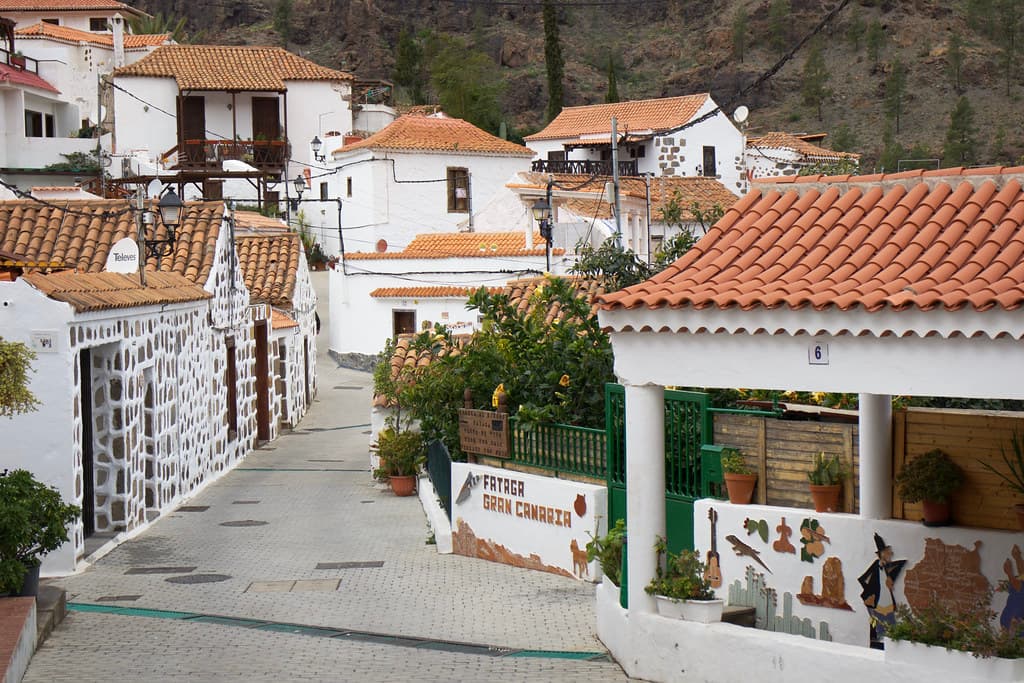 🌴 Excursión al Valle de Fataga desde Las Palmas | Mil Palmeras - Taxi privado desde Las Palmas