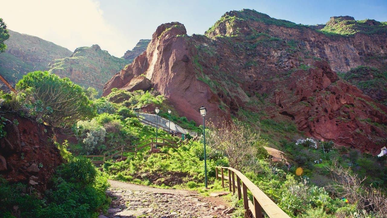 🕳️ Excursión Barranco de Guayadeque | Restaurantes en Cueva desde Las Palmas - Taxi privado desde Las Palmas