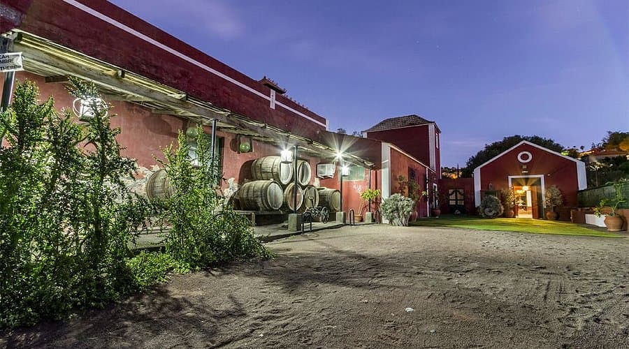 🍷 Taxi Las Palmas a Santa Brígida | Ruta del Vino DO Gran Canaria - Taxi privado desde Las Palmas