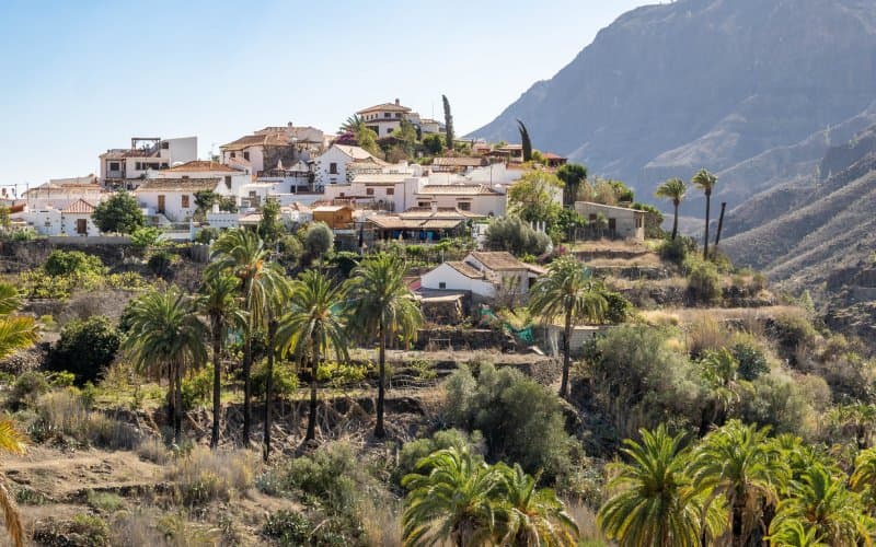 🌴 Excursión al Valle de Fataga desde Las Palmas | Mil Palmeras - Taxi privado desde Las Palmas